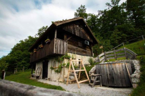 Holiday home in Otocec - Kranjska Krain 26039